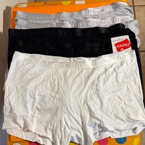 5 Pr Hanes Bamboo Boxer Brief Panties